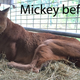 Photo: Big Cat Rescue